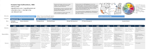 Thorsteinn Yngvi Gudmundsson's CV